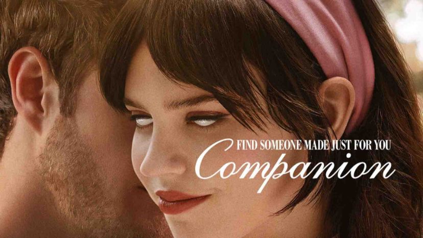 فیلم ترسناک Companion