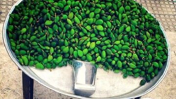 خطر مسمومیت با نوبرانه‌ بهار