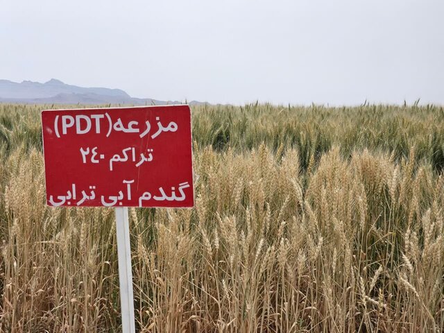کشاورزان