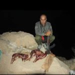 قاتل محیط بان «خائیز» شناسایی شد