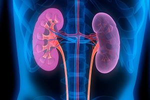 داروی دیابت روند پیری کلیه را کُند می‌کند