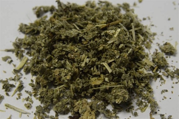 گل مواد مخدر