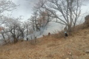 ۸ بالگرد و هواپیماهای ایلوشن مشغول اطفای حریق الیت هستند