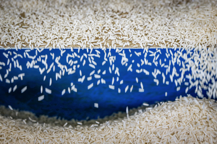 خداحافظی برنج با ارز ترجیحی؛ بازار به تعادل می رسد؟