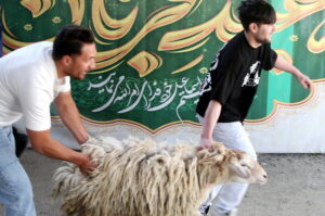 توصیه‌ مهم درباره ذبح دام در عید قربان | خوردن این بخش دام بسیار خطرناک است