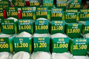 افزایش ۲۰ درصدی قیمت برنج آسیا