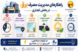 کسب‌وکار هوشمند، مصرف هوشمند
