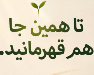 تا همین‌جا هم قهرمانید