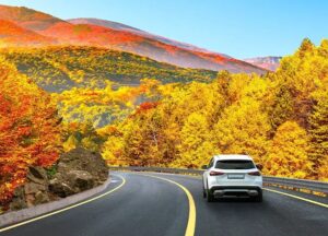 آخرهفته از تهران بیرون بزنید؛ ۴ مقصد نزدیک برای فرار یک‌روزه از شلوغی شهر