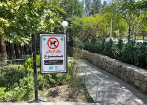 سگ‌گردانی؛ سبک زندگی جدید یا پاسخی به تنهایی و انزوای شهری؟